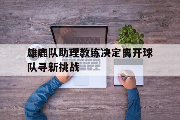 包含雄鹿队助理教练决定离开球队寻新挑战的词条